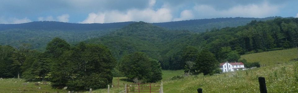 View of Bald Knob from Back Mt. Road