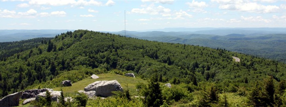 Looking South from the Knob