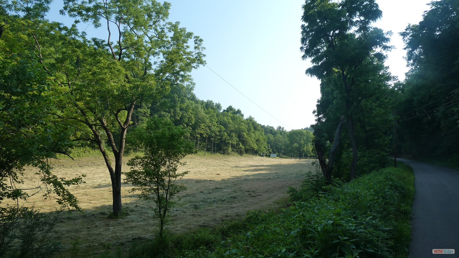 Heizer Creek hay field.